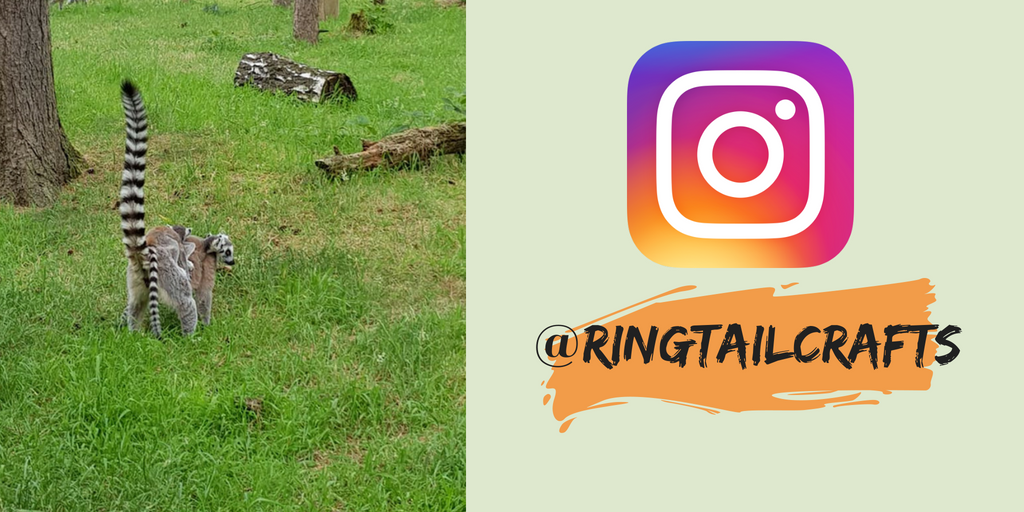 CraftsRingtail's tweet image. I need just 1 more follower to reach my first 100 on insta! Let this cutie lemur family convince you to hit that follow button. Could it be you 👀🧡 #followme #instagram