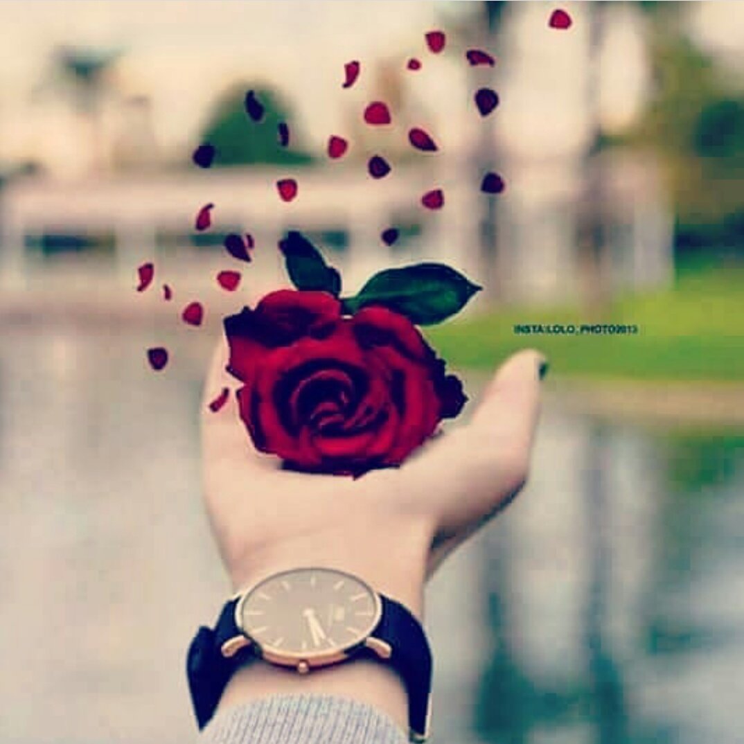 #صورة_ملف_شخصي_جديدة