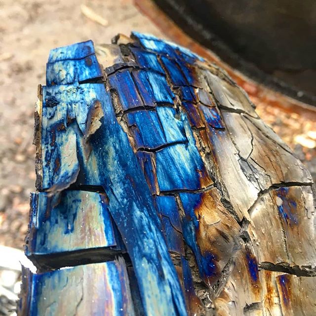 The colours when we first crack the kiln open are always epic!  

#britishcharcoal #britishbbq #britishbbqweather#sustainable #bbq #charcoal #sustainablebbq#sustainablecharcoal #woodlandmanagement#biodiversity #lowandslow #smokedmeat