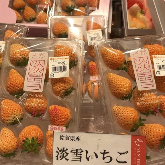╺ 𐬹 ⸂ ♥︎for you ⸃ 🦔 ⸜ 𖢇 tweet media