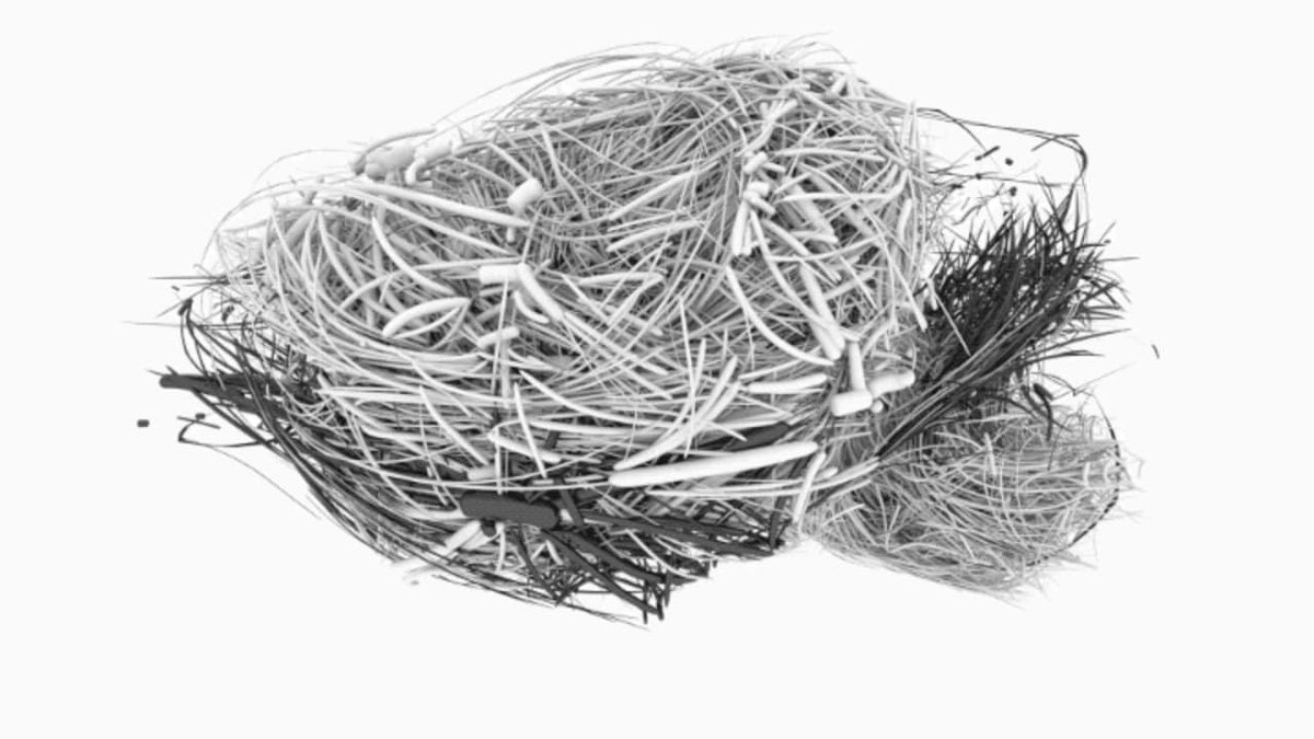 Check out these mind-boggling models of complex networks buff.ly/2MaQmai