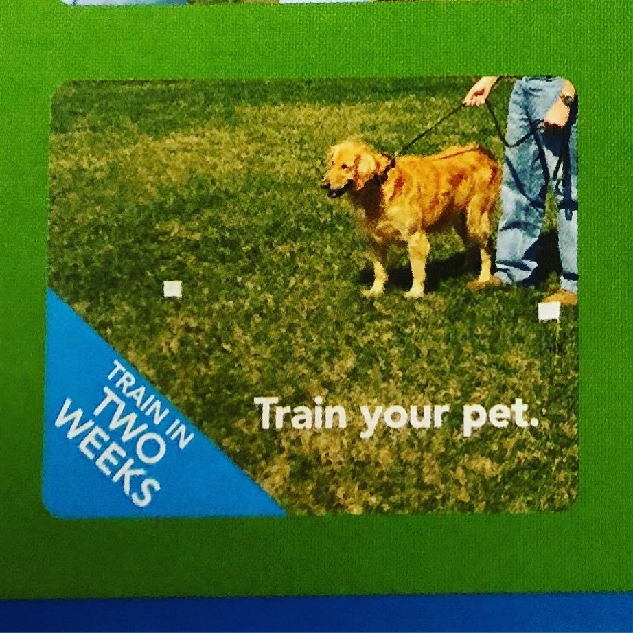 KeystonePet's tweet image. HINT for our Facebook giveaway!!! Giveaway starts TONIGHT at 8pm #summergiveaway #followfacebookpage #keystonepetplace #dogdaysofsummer