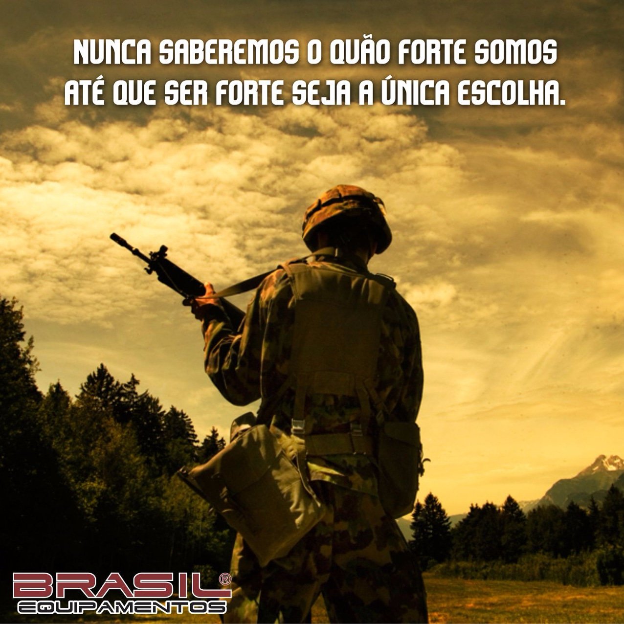 Twitter 上的 Brasil Equipamentos: Twitter 上的 Brasil Equipamentos: