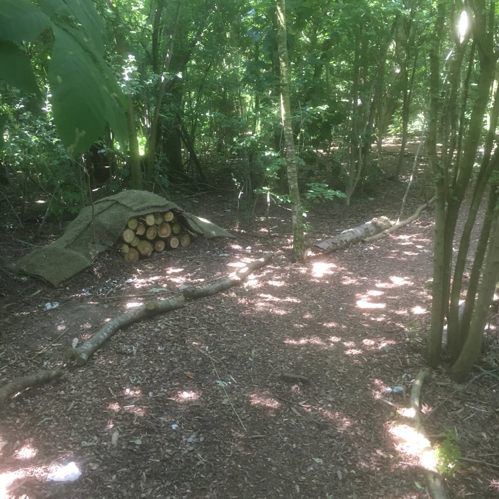 MudflatMatt's tweet photo. Day 28 and the last stretch of #30DaysWild , clearing dead wood and brambles at the Countess of Chester Country Park with @TCVMerseyside @FriendsCoCCP https://t.co/pfcRHTlW9H