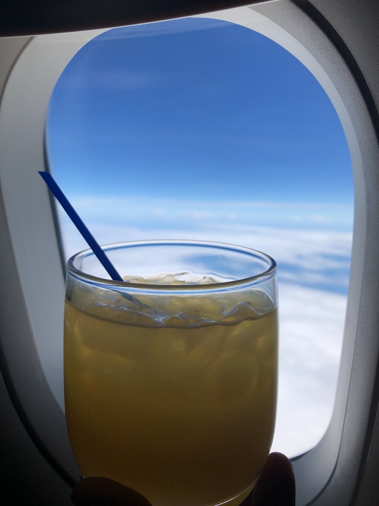 Screwdrivers at 32k feet on the way to Jamaica 🇯🇲 while @mseric has me crackin up just makes this day feel right. #busydoinnothin