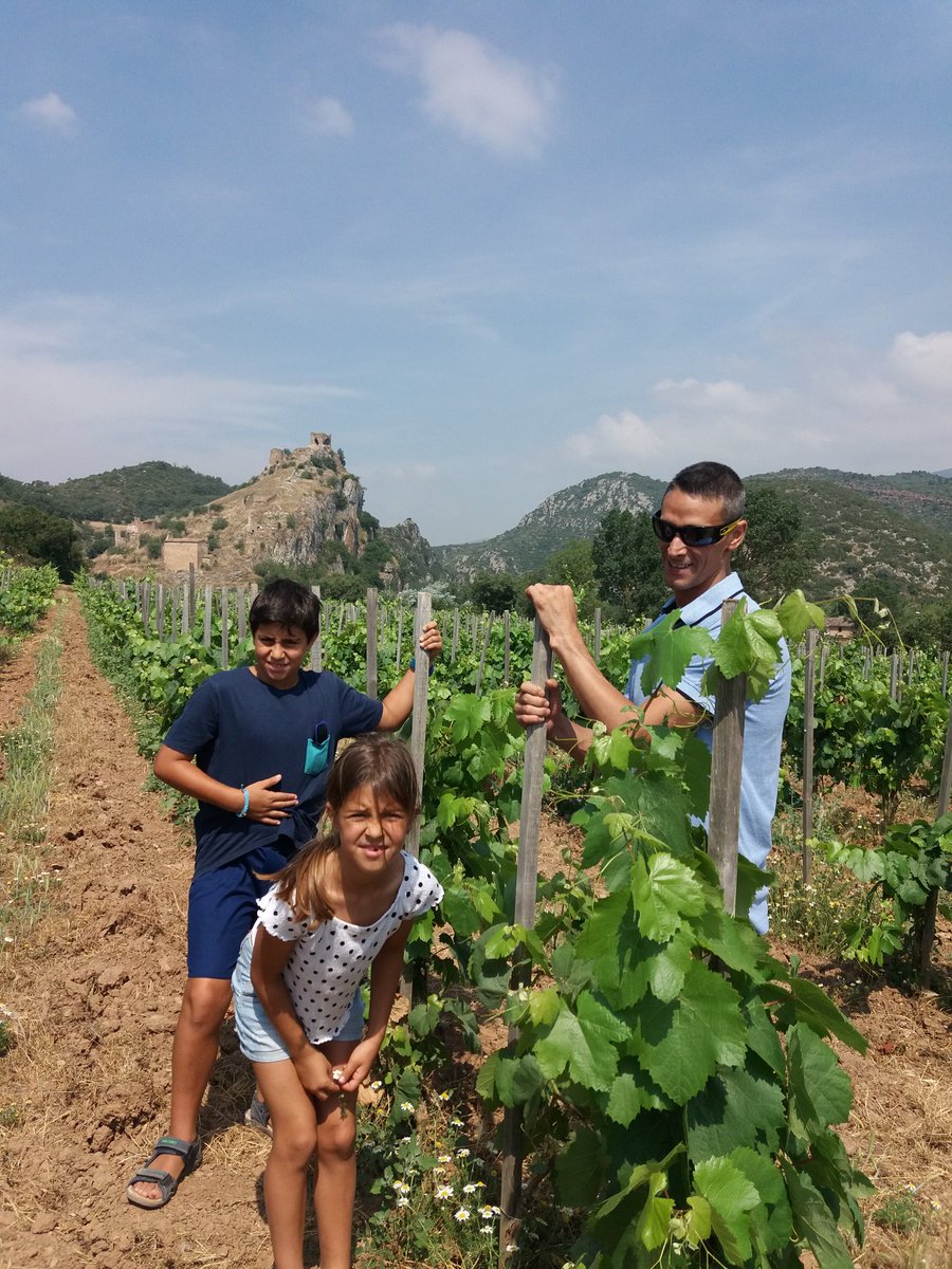 SogasJudit's tweet photo. Avui visita d'un bon amic @LaraLest ! Un dia d'estiu i calor!! Un matí de brindis al sol!!!
#Rubiodesols #Montsec #vinya #vi #tast #wine #vineyard #somelier @ACSommeliers @serradelmontsec @aralleida https://t.co/CGcbGfHgDd