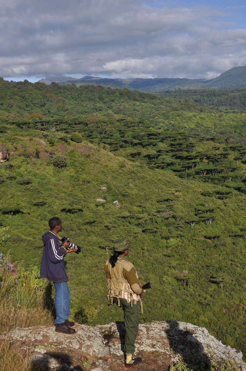 'We take photos as a return ticket to a moment otherwise gone.' 
One of those finest nostalgic throwback moments from Mount Elgon National Park 🙂
#TBT #TravelLocal #WalkingWithRangers #TreasureKenya #TembeaKenya #DiscoverKWSParks