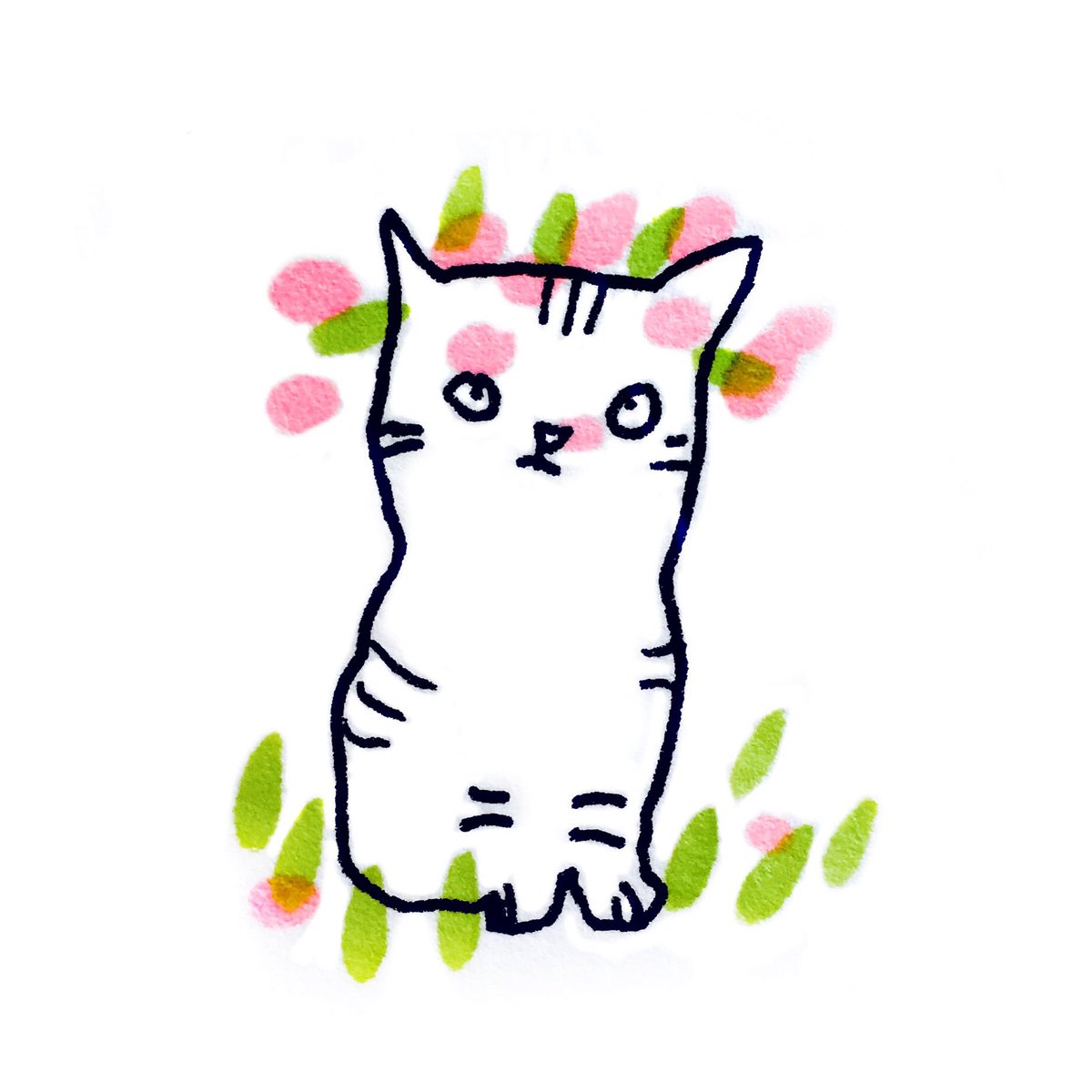 masillustra's tweet photo. Summer cat. #illustration #drawing #cat #masillustra #pet #happy https://t.co/zYolJUYtyP