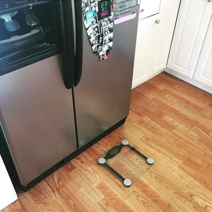 Gym_Motivation's tweet image. Every time U wanna go into the fridge for a snack, U gotta weigh Urself. #GoodTip