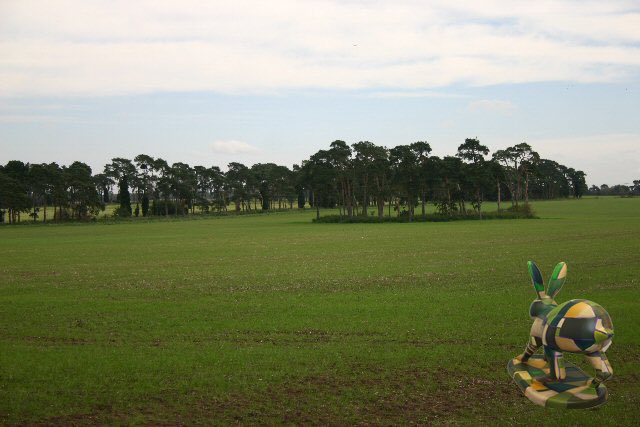 GoGoHareForrest's tweet image. He is off again! Forrest is off over the fields today. He is still searching for something..... I wonder what it is? @break_charity @GoGoHares2018 @TakeYourPlaceHE @ThetfordAcaduk