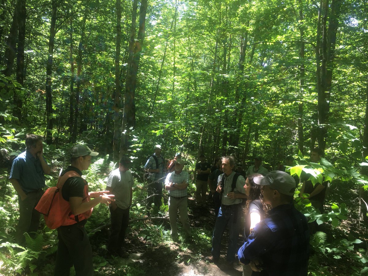 thevycc's tweet photo. Our HQ staff are out with crews every week training, cheering, and visiting crews at project sites like:🌲#BoltonTownForest, where Chittenden County forester, Ethan Tapper taught #VYCC and #VTForestParksandRec @VTANR staff about best trail & forestry practices! @vtfpr_commish https://t.co/9ObEB2Z5BG