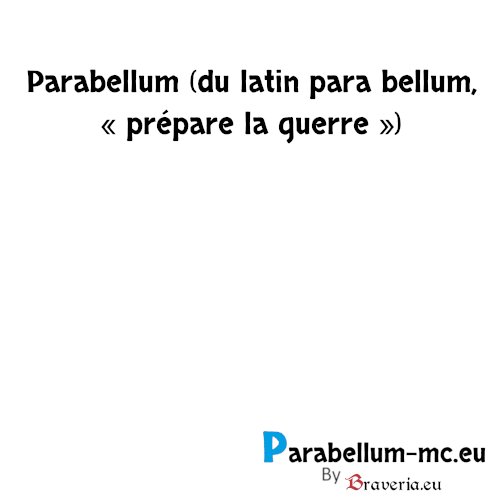 Parabellum_mc's tweet photo. Ouverture le 15 Juillet 2018 ! En attendant venez-nous rejoindre sur :
#Discord : https://t.co/kwS4DRunBd
Mais aussi sur notre forum : https://t.co/pkND6ooF0D
 #minecraft #serveur #pvpfactions #guildes #nouveaux #jeuxvideo https://t.co/bCIlXuzOXO