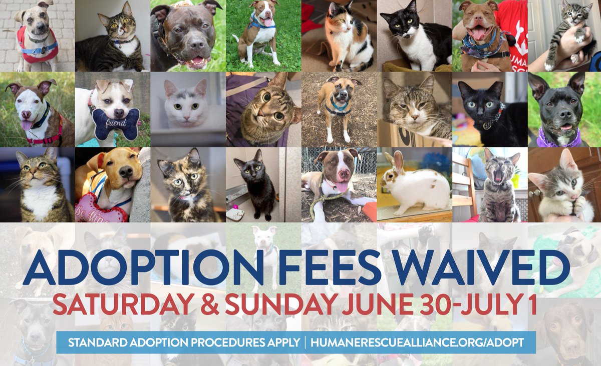 Due to urgent assistance needed by another shelter and a recent humane law enforcement seizure, HRA's adoption centers are at capacity. In an effort to encourage those who have been thinking about pet adoption, HRA will waive adoption fees this weekend. bit.ly/2tDIg39