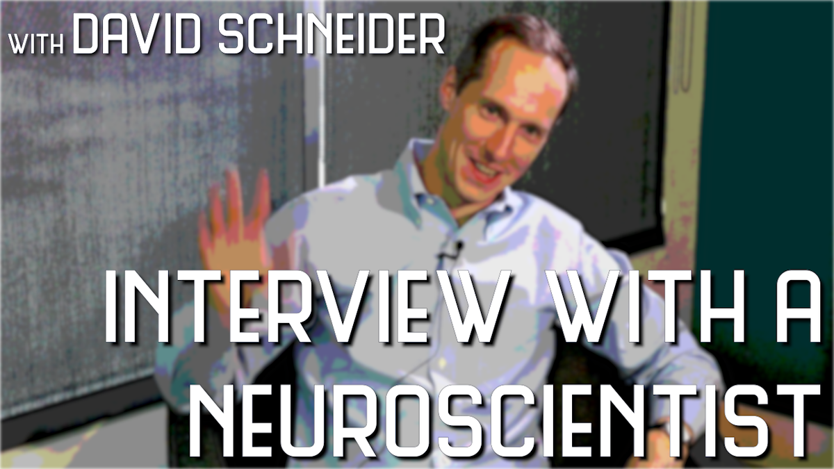 Numenta's tweet photo. ICYMI– Check out the latest #HTMSchool Interview with a Neuroscientist with @SchneiderNeuro from NYU. We will be publishing future interviews as podcasts moving forward, so stay tuned! https://t.co/WlwDuSLh9K 🧠 https://t.co/qOSoIA0jLr