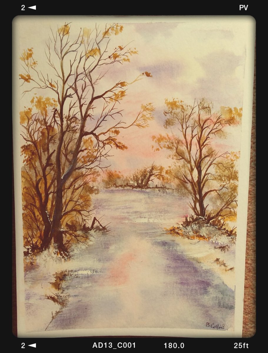 b collins tweet media