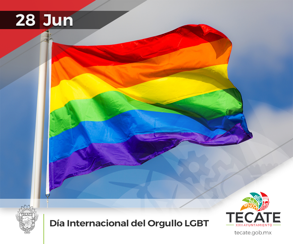 Cada 28 de junio se conmemora la lucha por la defensa de la comunidad de lesbianas, gays, bisexuales y transexuales #LGBT, para apostar por una sociedad que eduque desde la #diversidad.