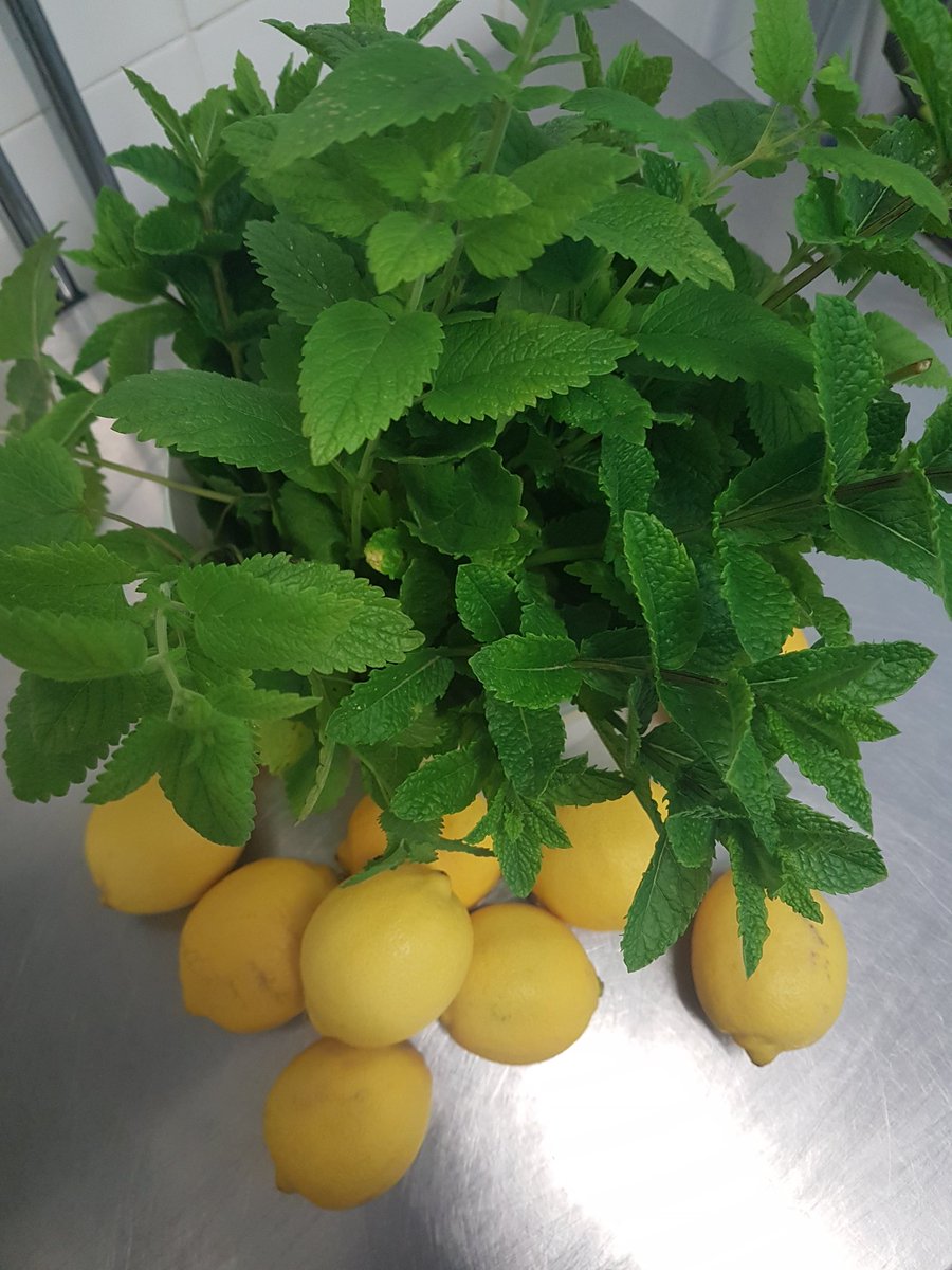Garden lemon balm and mint sorbet! #refreshing #homegrown #sorbet #overlangshaw #coolas #heatwave