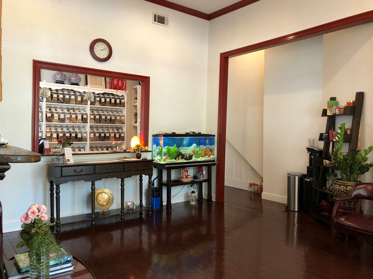 Audubon Acupuncture (AcuAudubon) Twitter