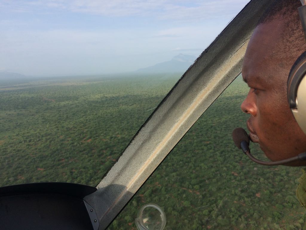 We're proud to know that an M24 Orion flies in defence of elephants in Kenya. Many thanks to Keith and Simon for spending their lives countering poaching.

#magni #magnigyro #gyroplane #antipoaching #elephants #kenya #fly #africa #elephantslivesmatter #saynotopoaching #ivoryfree