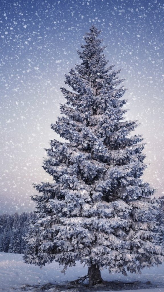 christmas tree iphone wallpaper