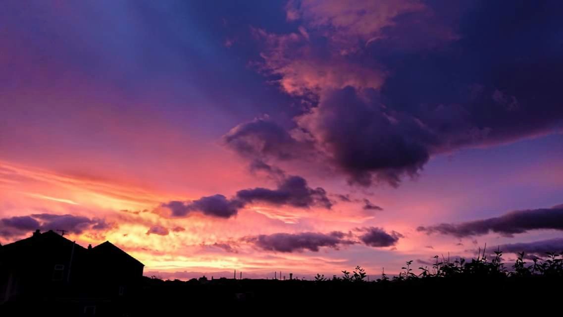 Chris Garner tweet media