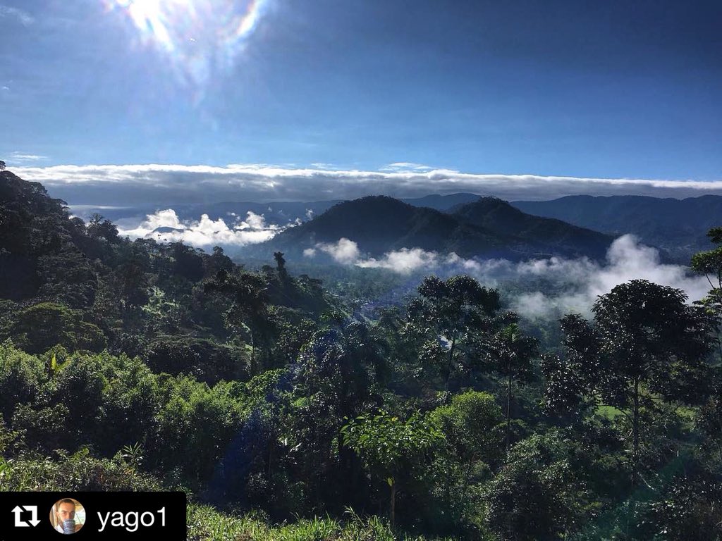 YantzaFarm's tweet photo. #Repost @yago1 ・・・
Belleza Amazonia Ecuatoriana ❤️#zamorachinchipe #valledelasluciérnagas 🌎 #permatree 🌴 @permatree 🌎#ecuador #oui #amazonia #amazonasbasin #landscape #southamerica #orienteecuatoriano #magiclandscape https://t.co/plY652TZR6