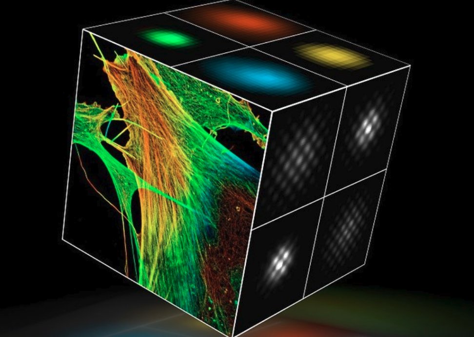 Phasics_SA's tweet image. 3D super-resolution goes deep within tissues thanks to our collaborator Pierre Bon ! Details about this technique called SELFI that combines #QuantitativePhaseImaging and single-molecule fluorescence: doi.org/10.1038/s41592…