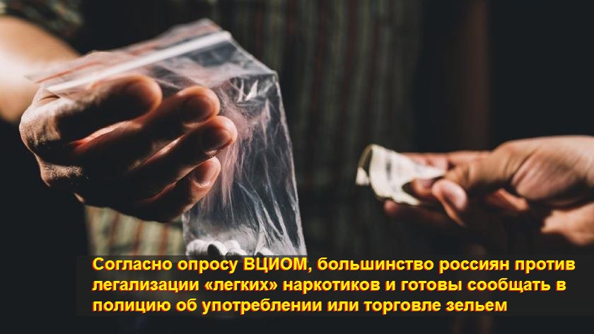Легализация легких наркотиков Легализация легких наркотиков спайс буклеты профилактика