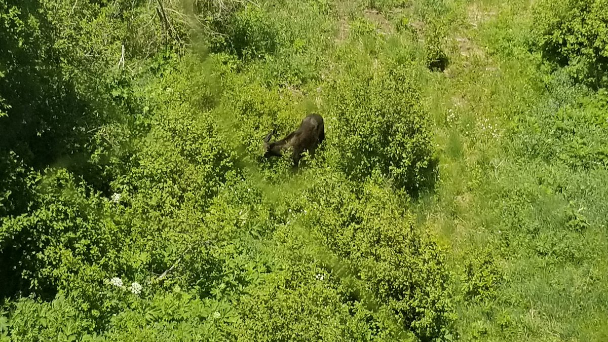 Vail lift ops tweet media