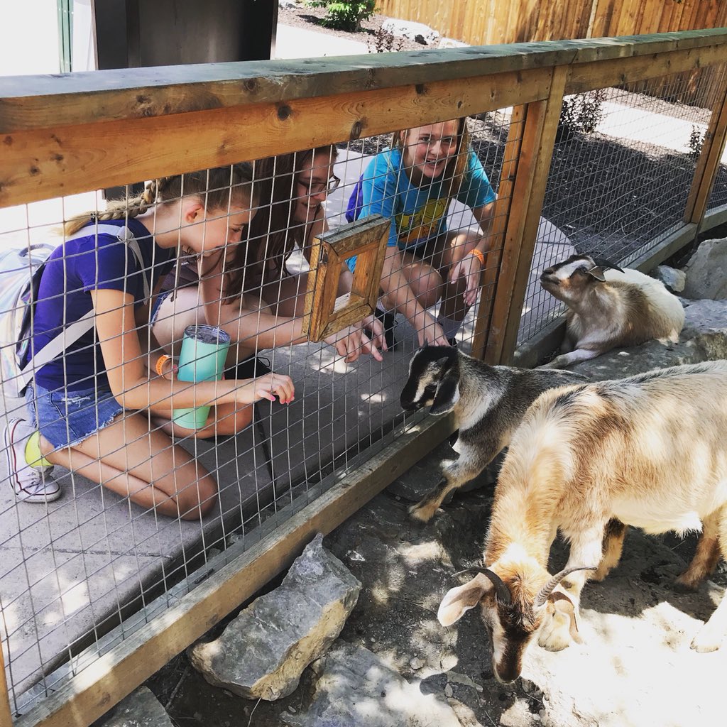 tbearscheer's tweet photo. #zooteambonding https://t.co/yjWn8oiWc3