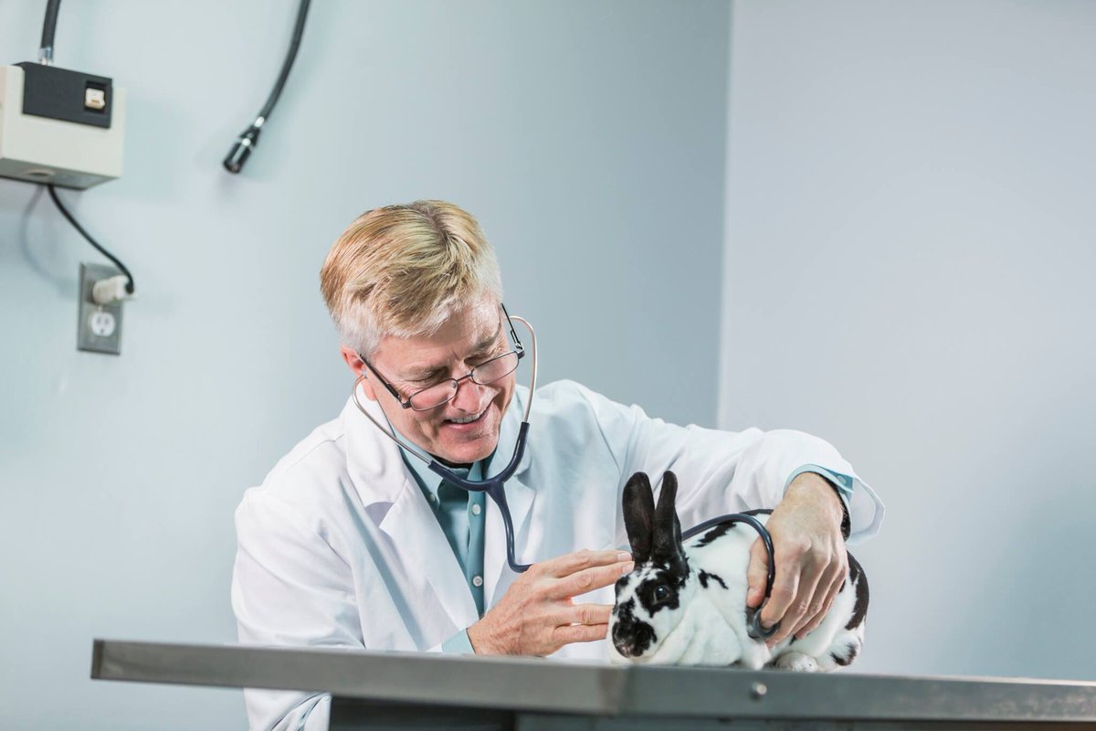 C4H_360's tweet photo. At C4H, it is our mission and priority to serve dentists, veterinarians, ophthalmologists and other medical professionals with prudent advice in all practice financing &amp; transitions. Call us 24/7 at 1-800-324-8808 for a consultation. https://t.co/UdtMr92Cw2