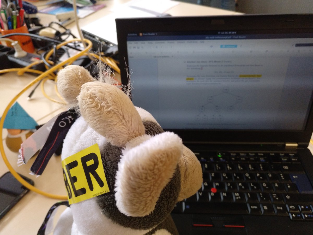 Kuhno_H's tweet photo. Trainingsmontage #KuhnosAdventure #cownapping https://t.co/TLqn53Mtyv
