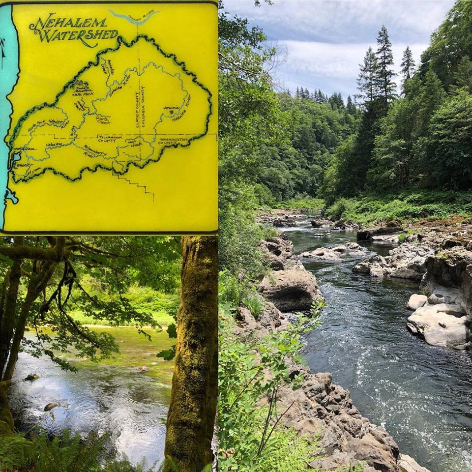 ORStateForests's tweet photo. A lovely day on the Nehalem River. This section is properly set by @orstateparks to be designated as a State Scenic Waterway! #pnw #nehalemriver #pnwwonderland #tillamookstateforest #pnwexplored https://t.co/Te6pmJneWK
