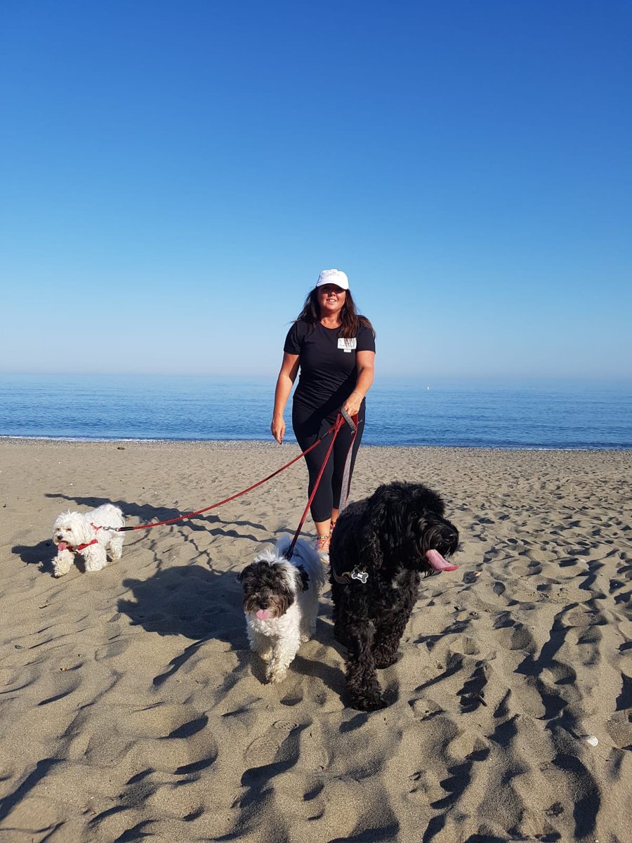 PawfectionMarbs's tweet photo. Pawfection Marbella , professional Petcare services 
#dogwalker #petsitter #concierge #marbelladogs https://t.co/PIKvorrXfN