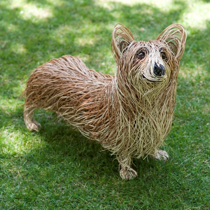 Lesser-Spotted tweet media