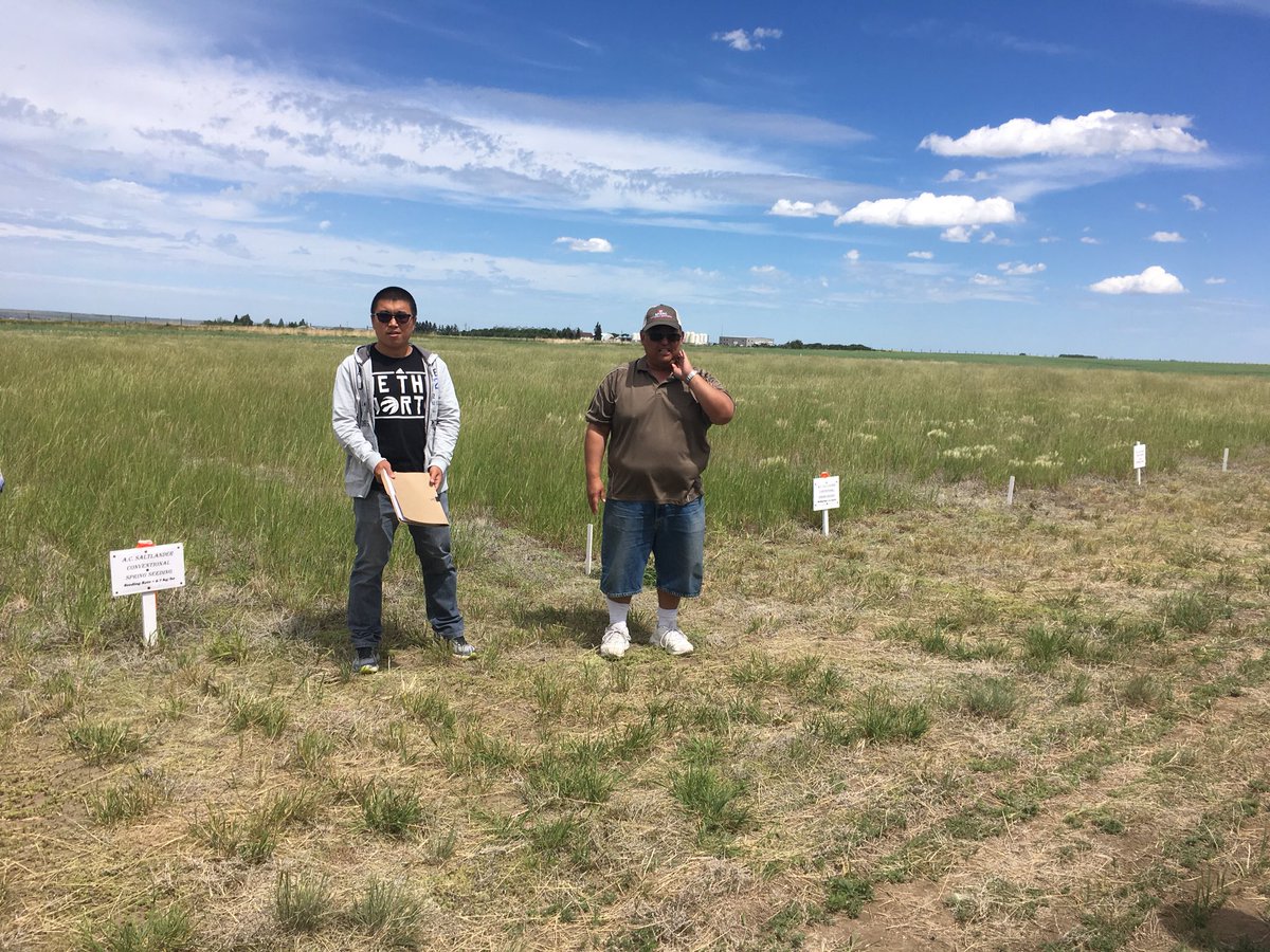 saskforage's tweet photo. It is a dry, hot day in Swift Current. Kicking off the day chatting about AC Saltlander. 5, 10, and 15 lbs of seed is similar in suppressing foxtail barley. #skforageAGM https://t.co/igv1kB0BW5