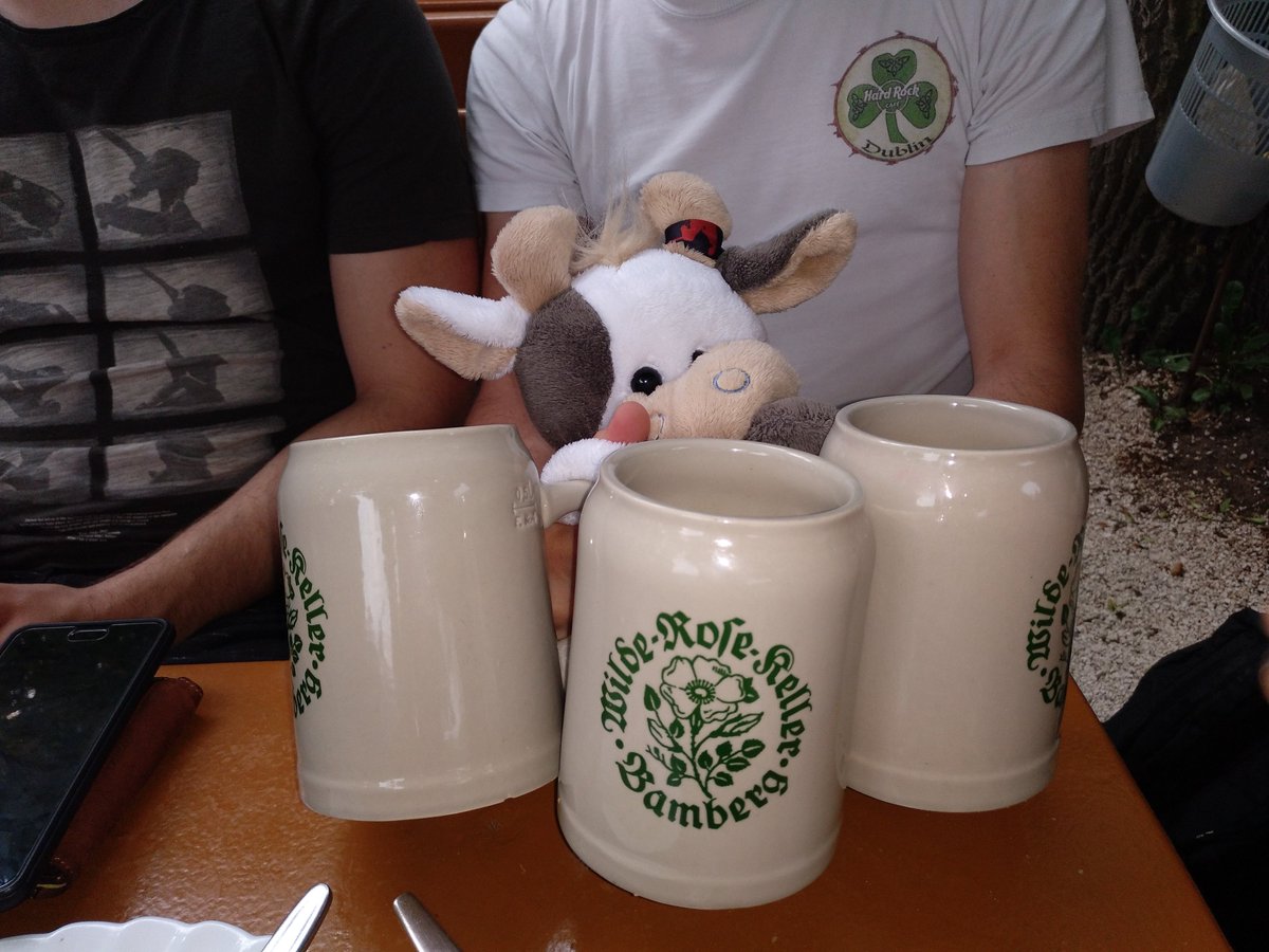 Kuhno_H's tweet photo. Auf dem Keller! #KuhnosAdventure #cownapping https://t.co/CmTCrrh0Be