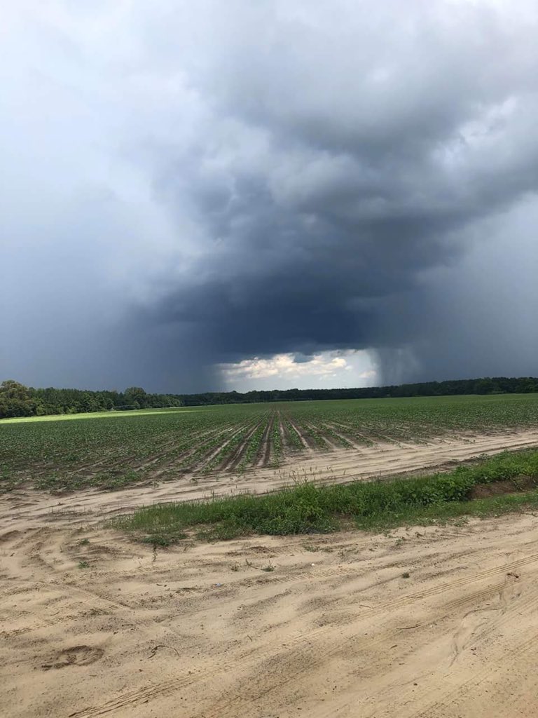 LeeHaywoodWX's tweet photo. Storm clouds near #Brooklet #Georgia this afternoon.
PIC: Bryan Thompson
@WSAV @WSAVKrisA @KyleDennisWx @ariellascalese https://t.co/uh8RSBR5c7