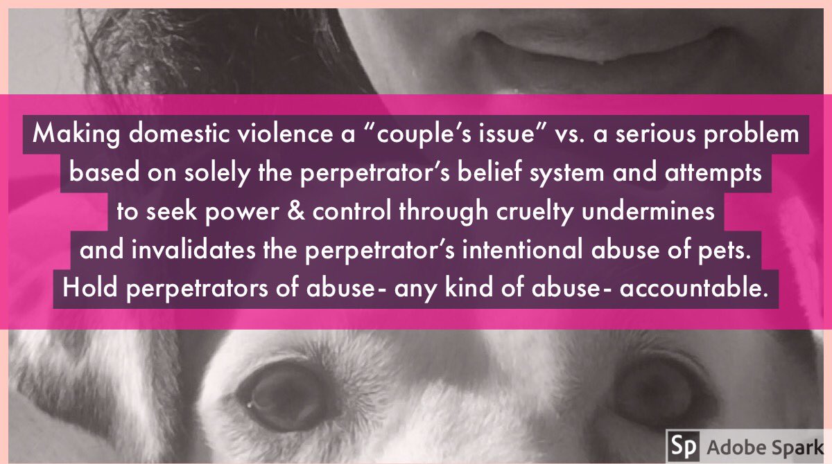 PetsToo's tweet image. It’s time to get clear about #domesticviolence. #PetsAreDvVictimsToo #BehindHerSmileIsTerror