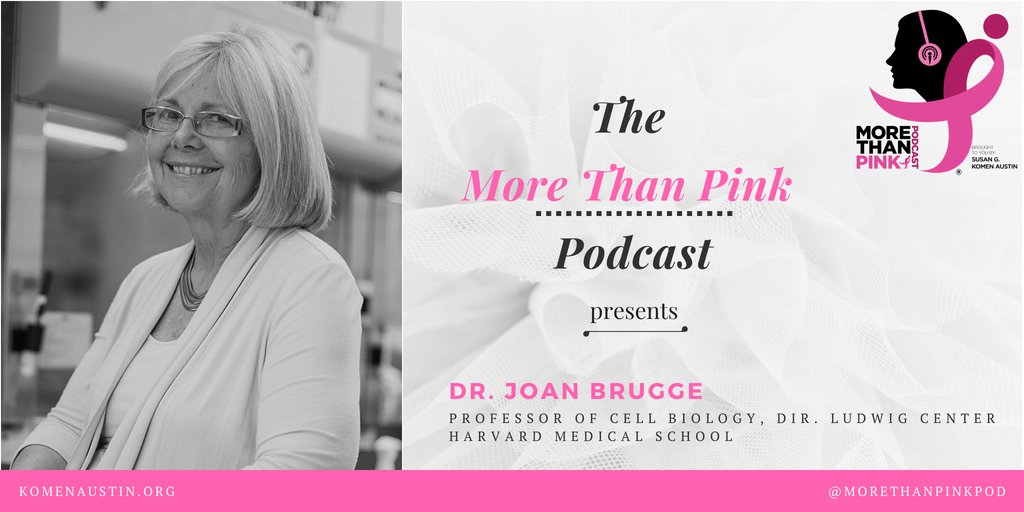More Than Pink Podcast tweet media