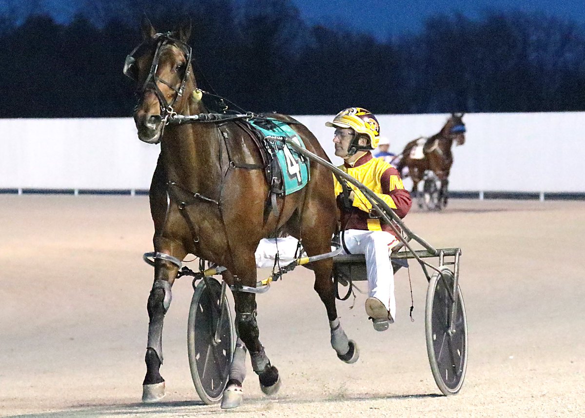 HoP_Racing's tweet photo. First Turn Stable's Vintage Grand is back tonight, race 3 post 10! RT to wish him luck! @triplemracing #PlayHP #FirstTurnStable #WeLoveVinny https://t.co/Vh8TRjtFhR
