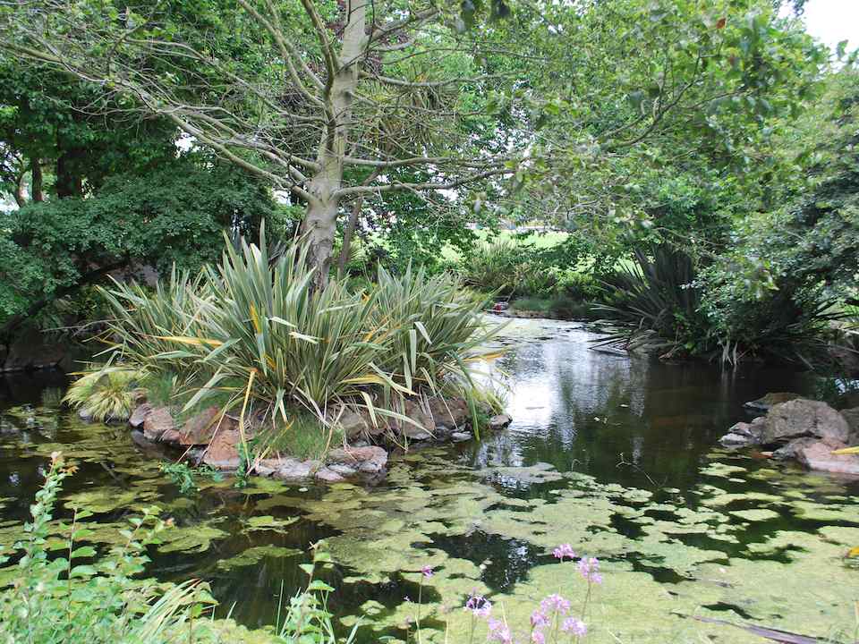 uppercasing's tweet image. Rec and Park, Exploratorium seek input on Alvord Lake installation hoodline.com/2018/06/rec-an… by Camden Avery