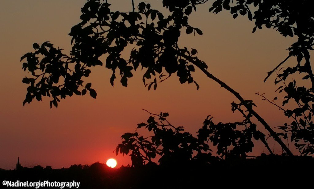 One Sunset. 3 locations! @StormHour @WizardWeather @weather__pics @BestSunsetPhoto @barrabest @LeitrimTNetwork @roscommonie #ElphinWindmill #CarrickOnShannon #Sunset #photography #heatwave #Ireland