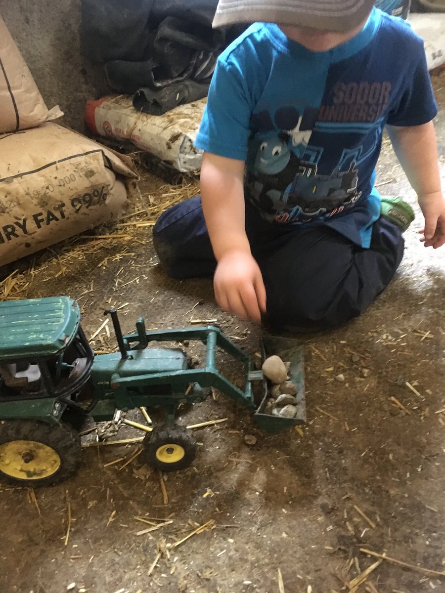 StuartmereFarms's tweet photo. Subconsciously learning to pick stones at 2 years old #learnemyoung https://t.co/VU6JEi1HN9