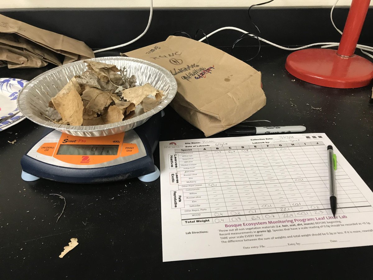 bempinitup's tweet photo. Ever wonder what happens to BEMP data once collected? Our staffer, Keara Bixby explains what happens when we collect litterfall at our BEMP sites. Check it out! @UNM @bosqueschool #bempinitup #porcupine #monthlymonitoring #data 
https://t.co/1IyvMrpnjW https://t.co/VZZv7ctbdW
