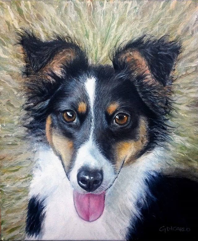 My portrait of Axel, a splendid Australian shepherd. Artwork on canvas.
Commissions welcome! .
.
. 
#petportrait #petportraits #petportraitartist #dog #dogportrait #dogportraits #portrait #dogpainting #Australianshepherd #australianshepherdworld ift.tt/2KiYE3g