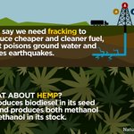 Image for the Tweet beginning: What about hemp? #marijuana #cannabis