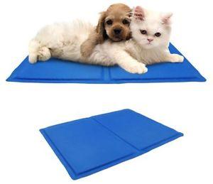 ZacksPetStop's tweet photo. Ancol Cooling Mats now in stock! Avaliable in sizes Medium (45x90cm) and Large (60x90cm).

Cooling mat absorbs heat from the dogs body using phase-change material keeping them cooler. Waterproof and easy wipe clean material!
Perfect for this summer weather. https://t.co/kVArII7VmH