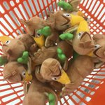 こんなにカモネギのぬいぐるみ買ってると怪しい？ｗ転売ではなく推しなので許してほしいw