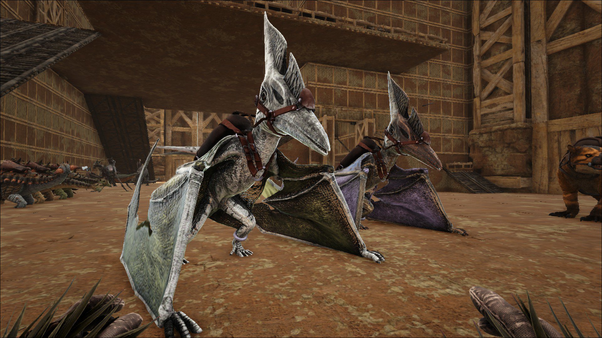 魅惑色のぱんだ Ark センターで白プテラlv130と翼が紫でかわいいlv140プテラテイムしました W この2匹はオスとメスなので後々ブリ用にしたいので焦土へ ラグナ用テイムしなきゃ T Co 7f5ikhlm7z Twitter
